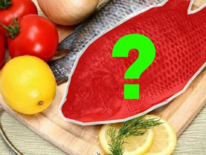 Thông tin doanh nghiệp - Việt Nam có 1 loại cá mệnh danh là &quot;gà nước&quot;, thịt thơm ngon lại là “thuốc đại bổ” xương khớp