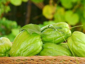 Loại quả là "ngân hàng kẽm" đang vào mùa, xào hay luộc đều ngon, mẹ bầu thường xuyên bổ sung cực tốt