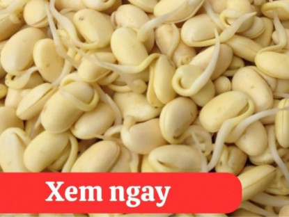Thông tin doanh nghiệp - “Tái sinh” khớp gối với 2 món ăn được người xưa ví là “thần dược” phục hồi xương khớp 