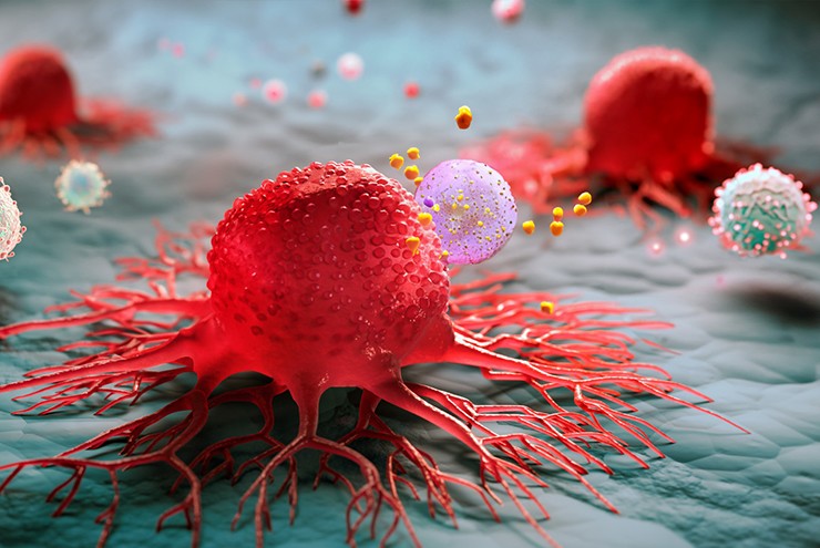 Phát hiện “chìa khóa” có thể giúp loài người chống lại virus ung thư - 1