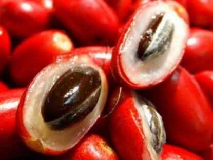 Thông tin doanh nghiệp - Bí quyết “vàng” giúp hàng ngàn người cao tuổi giảm tiểu đêm, tiểu són