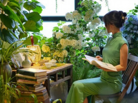 Người giàu thích trồng 3 loại cây này hơn hoa, vừa sang vừa hút tài lộc, bảo vệ sức khỏe cả nhà