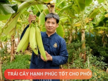 Thông tin doanh nghiệp - Loại quả được mệnh danh là “trái cây hạnh phúc”, rất giàu dinh dưỡng cho phổi, nhưng thường bị người Việt bỏ qua