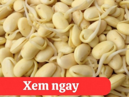 Thông tin doanh nghiệp - “Tái sinh” khớp gối với 2 món ăn được người xưa ví là “thần dược” phục hồi xương khớp 
