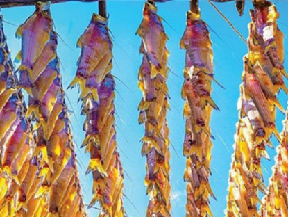 Kinh tế - Loại cá ở quê xưa cho lợn ăn nay hóa &quot;mỏ vàng&quot;, phơi khô bán 150.000 đồng/kg thành đặc sản