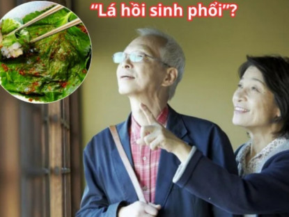 Thông tin doanh nghiệp - Loại lá ví như &quot; hồi sinh phổi&quot; ở Nhật cực đắt đỏ nhưng ở Việt Nam “rẻ như cho”
