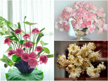 Gia đình - Bí kíp cắm hoa sen “ngắm là mê” của mẹ đảm Hà Thành, hoa đã đẹp, lá sâu và hoa tàn càng &quot;đỉnh&quot; hơn