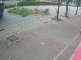 Clip: Cây rơi bất ngờ khiến người đi xe máy ngã sõng soài suýt bị xe buýt cán