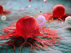Phát hiện “chìa khóa” có thể giúp loài người chống lại virus ung thư