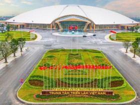 Tổ chức triển lãm 