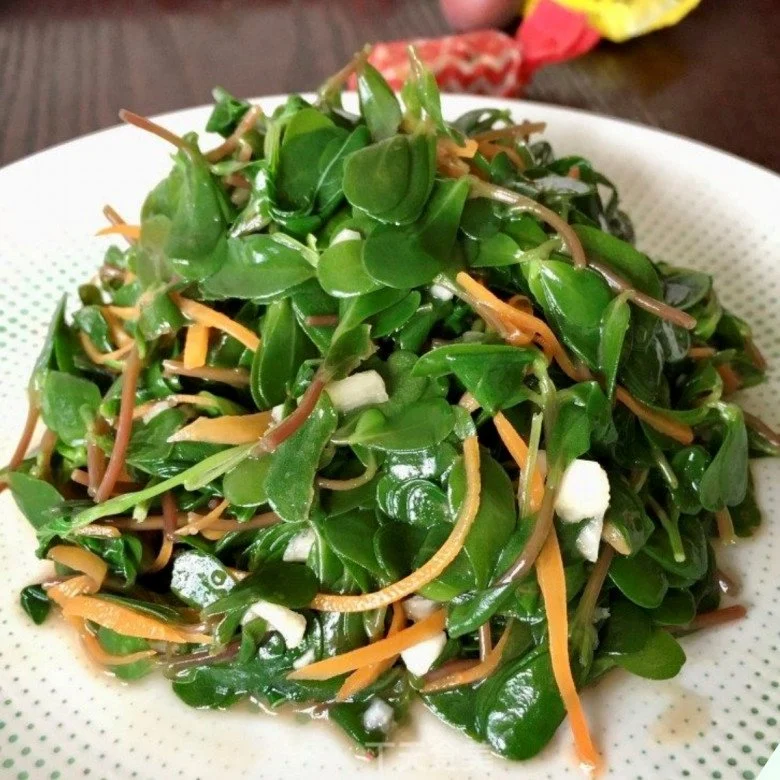Cây dại vứt xuống đất là mọc tua tủa, có vị chua chua đem nấu canh hoặc xào vừa ngon lại bổ - 3