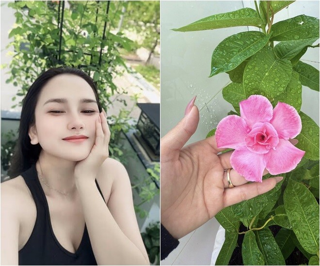 Vợ &#34;nhạc sĩ giàu nhất Việt Nam&#34; khoe khu vườn biệt thự nhưng làm ai nấy nghẹn ngào vì dấu ấn 2 người thân - 2