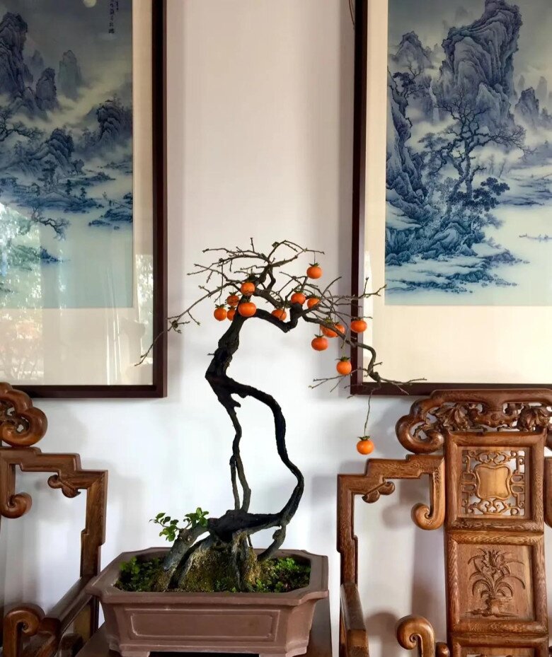 4 cây “giữ nhà” sống thọ trăm năm, càng già càng có giá trị, trong nhà có một chậu, con cháu được hưởng phúc - 2