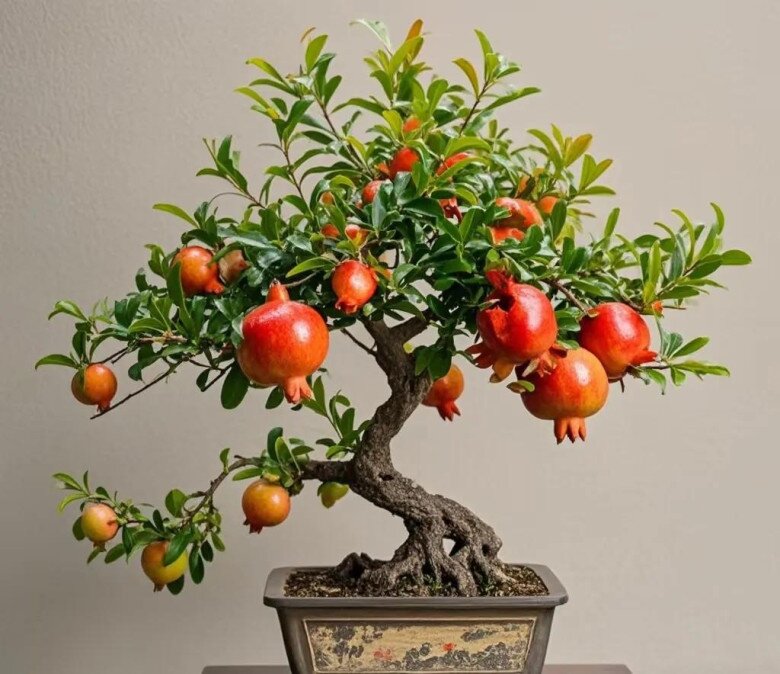 4 cây “giữ nhà” sống thọ trăm năm, càng già càng có giá trị, trong nhà có một chậu, con cháu được hưởng phúc - 7