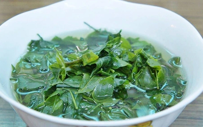 Cây dại mọc bờ bụi xưa không ai ăn, nay thành đặc sản giá 200.000 đồng/kg, trồng một lần thu hoạch được nhiều năm - 2