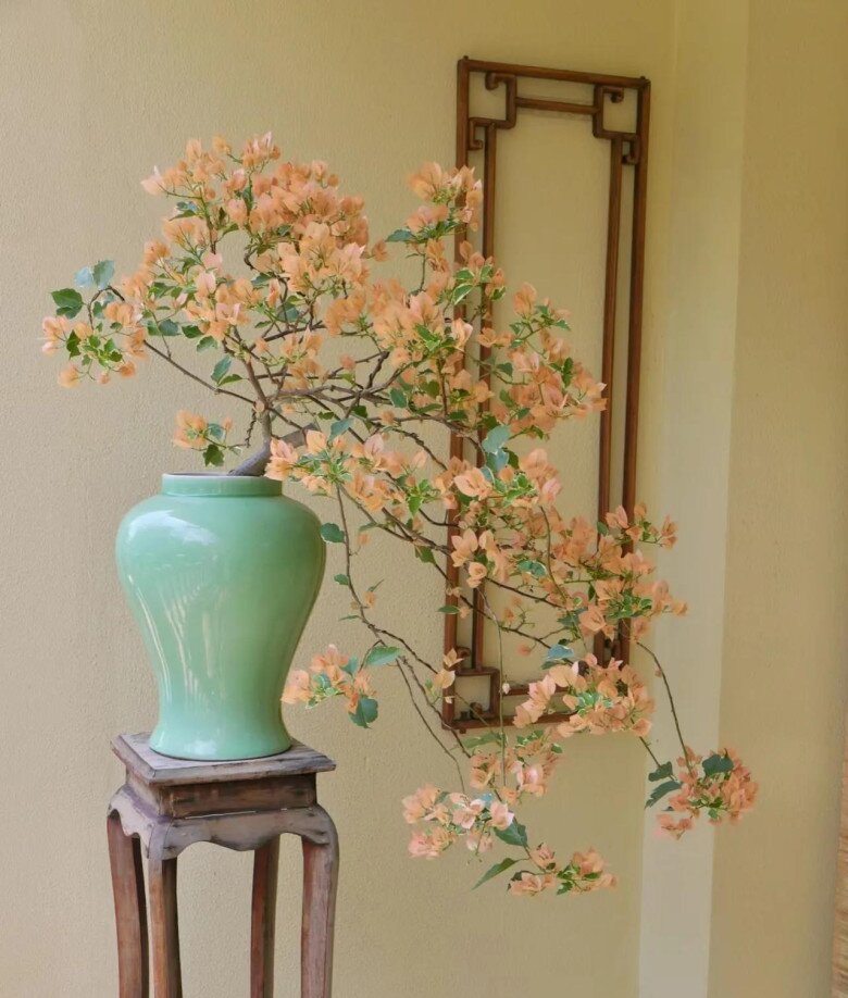 Đừng chỉ tưới nước lã cho hoa giấy! Hãy thêm thứ này vào, cây phát triển khỏe mạnh, nở hoa rực rỡ quanh năm - 2