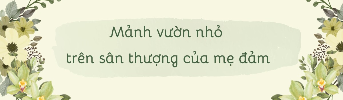 Mẹ đảm Phú Thọ trồng rau trên sân thượng vì con bị ngộ độc, giờ rau sạch ăn quanh năm, hái mỏi tay không hết - 2