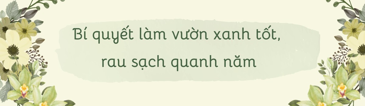 Mẹ đảm Phú Thọ trồng rau trên sân thượng vì con bị ngộ độc, giờ rau sạch ăn quanh năm, hái mỏi tay không hết - 9