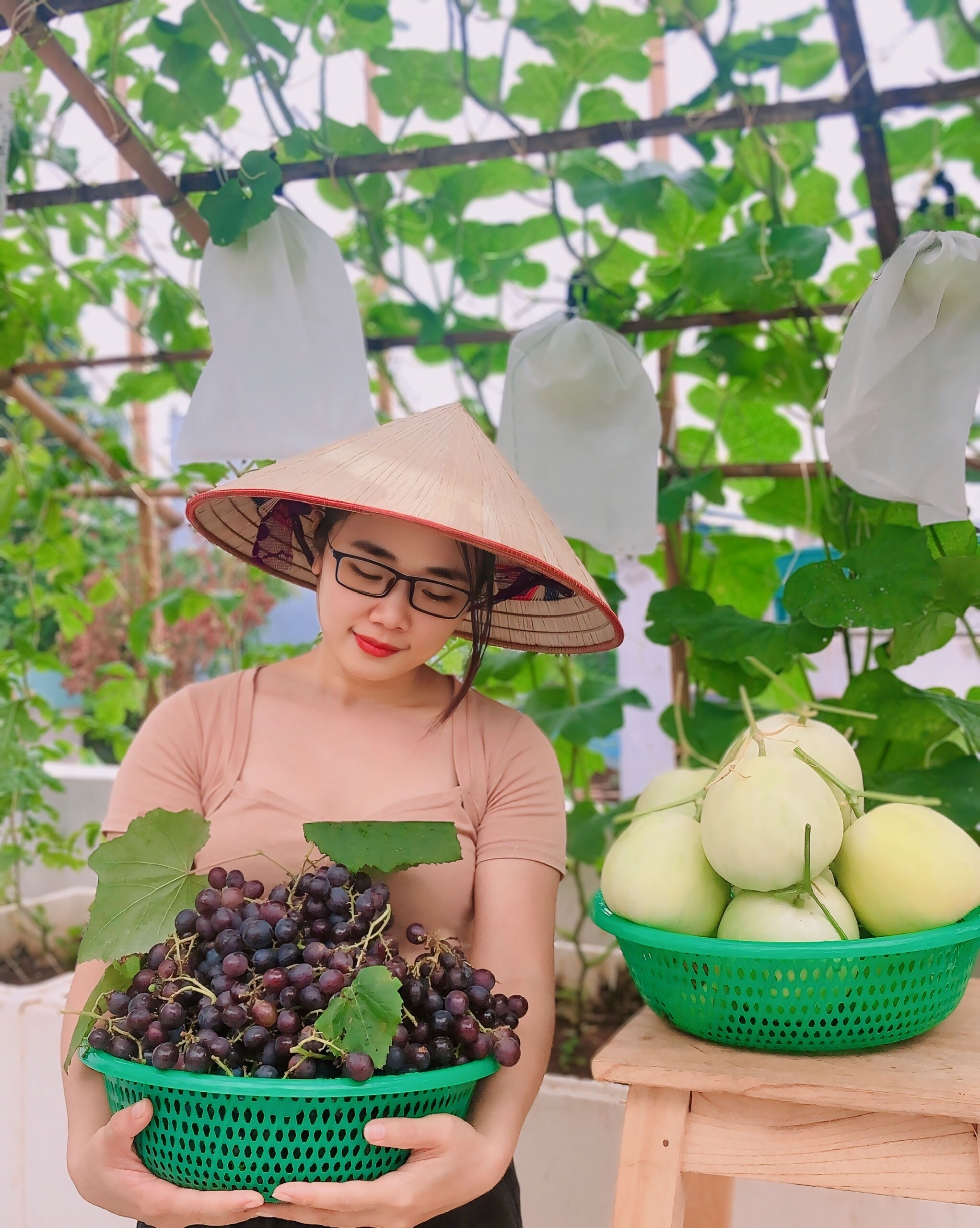 Mẹ đảm Phú Thọ trồng rau trên sân thượng vì con bị ngộ độc, giờ rau sạch ăn quanh năm, hái mỏi tay không hết - 16