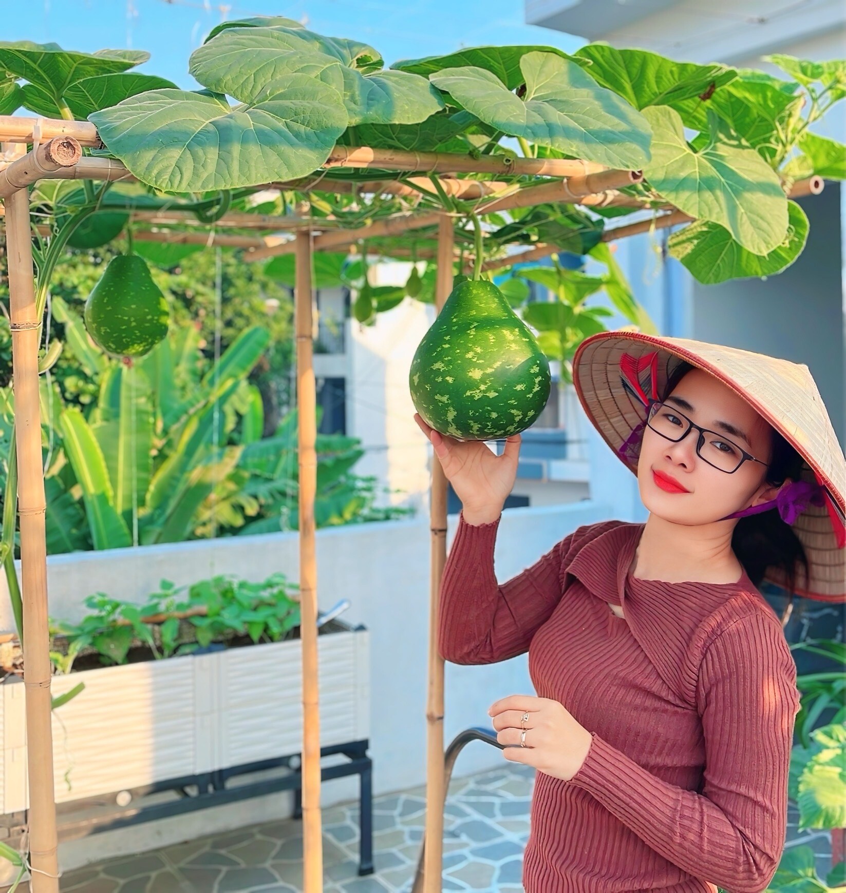 Mẹ đảm Phú Thọ trồng rau trên sân thượng vì con bị ngộ độc, giờ rau sạch ăn quanh năm, hái mỏi tay không hết - 1