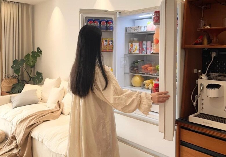 Ngày càng nhiều người không dùng tủ lạnh hai cánh, tủ lạnh này vừa đẹp vừa sang lại tiện dụng hơn - 4