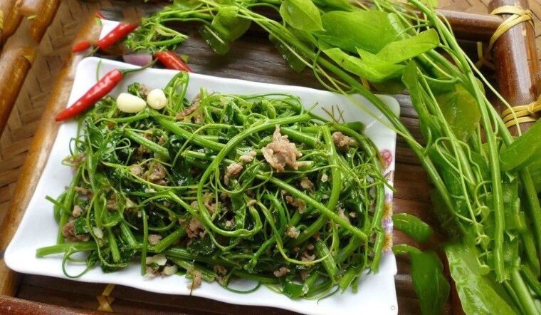 Rau dại được mệnh danh là “vua các loài rau”, là đặc sản giá 200.000 đồng/kg, trồng một lần thu hoạch quanh năm - 2