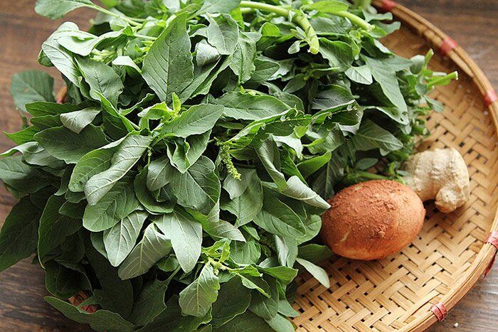 Rau mọc hoang nay thành đặc sản, giá 50.000 đồng/kg nhưng hạt chạm đất là mọc, trồng 20 ngày là có ăn - 3