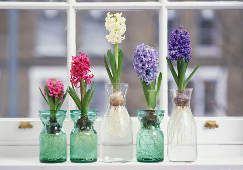 Tết Đoan Ngọ nên thắp 5 loại hoa, tránh 4 loại quả, gia chủ hưởng lộc, cả năm sung túc - 8