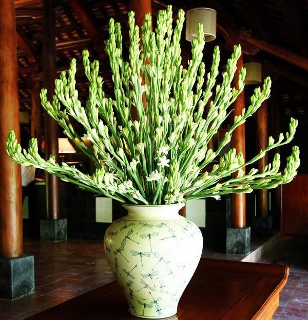 Tết Đoan Ngọ nên thắp 5 loại hoa, tránh 4 loại quả, gia chủ hưởng lộc, cả năm sung túc - 2