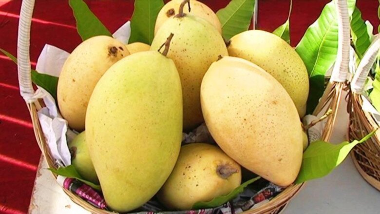 Tết Đoan Ngọ nên thắp 5 loại hoa, tránh 4 loại quả, gia chủ hưởng lộc, cả năm sung túc - 5