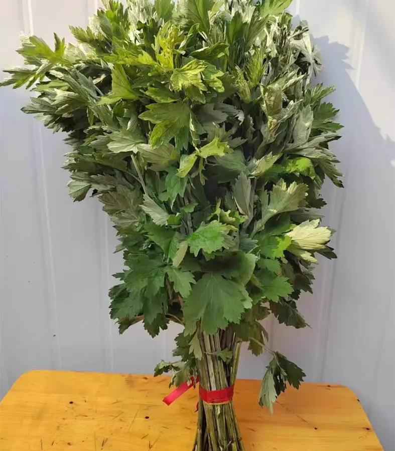 Tết Đoan Ngọ treo loại rau này trước cửa, chỉ 10.000 đồng/mớ nhưng giúp xua rủi rước lộc, cả năm may mắn - 3