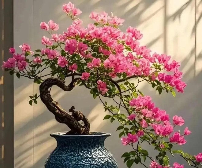 Tôi hối hận vì không trồng 3 loại hoa này sớm hơn, chúng rất đẹp và nở quanh năm - 4