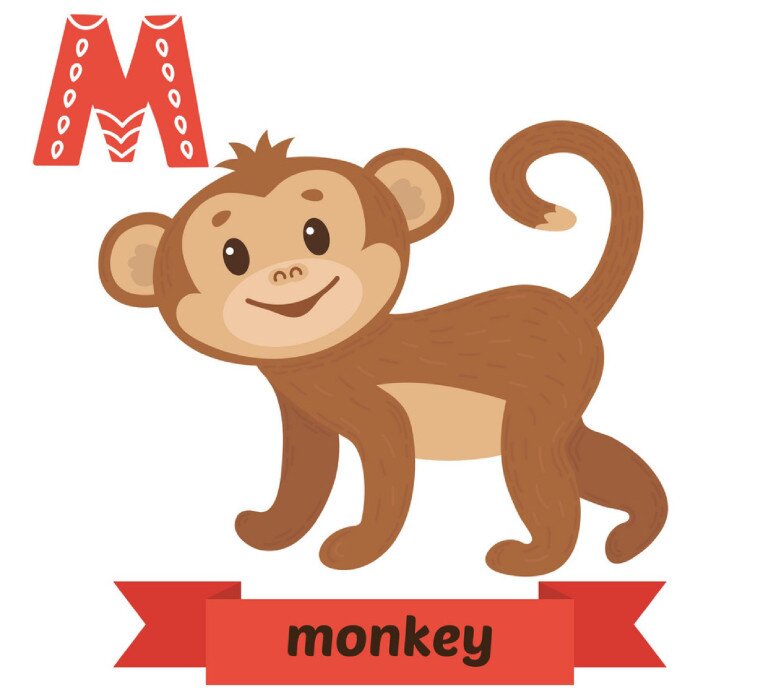 20 thẻ flashcard chủ đề các con vật, dạy bé học nhớ nhanh chữ cái Tiếng Anh (P1) - 13