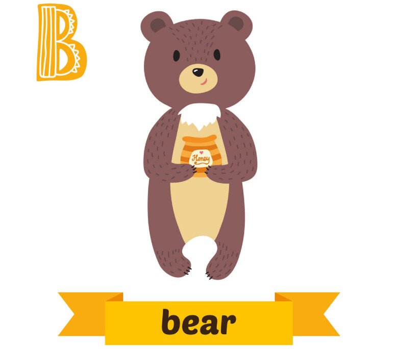 20 thẻ flashcard chủ đề các con vật, dạy bé học nhớ nhanh chữ cái Tiếng Anh (P1) - 2