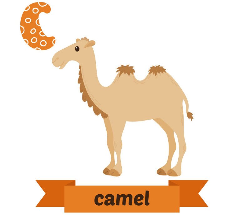 20 thẻ flashcard chủ đề các con vật, dạy bé học nhớ nhanh chữ cái Tiếng Anh (P1) - 3