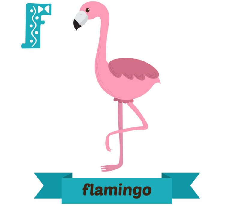 20 thẻ flashcard chủ đề các con vật, dạy bé học nhớ nhanh chữ cái Tiếng Anh (P1) - 6