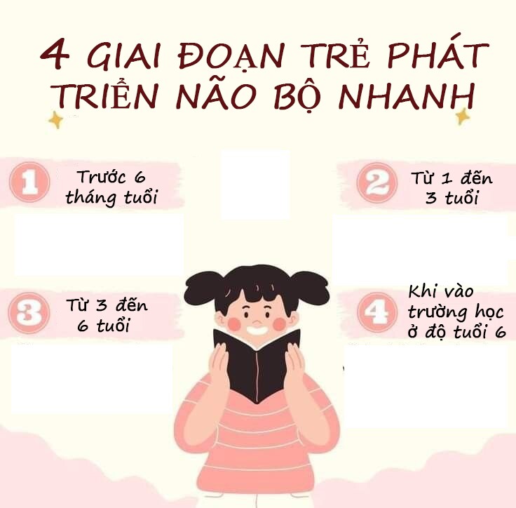 4 giai đoạn phát triển não bộ &#34;đỉnh cao&#34;, nắm bắt 1 trong số đó trẻ sẽ có IQ phi thường - 3