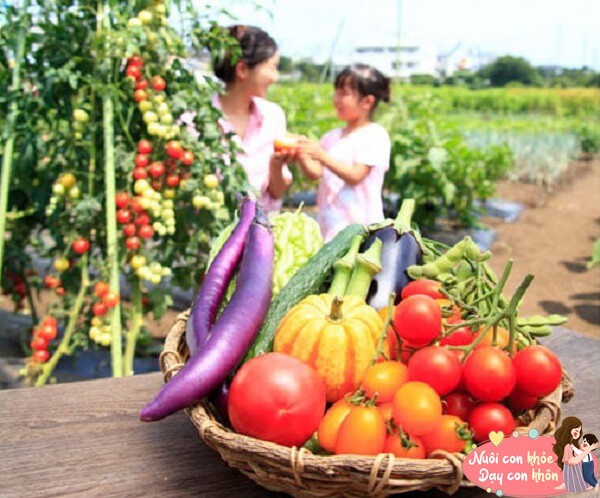 Số ca Covid tăng nhưng con vẫn muốn chạy chơi mùa hè, cách mẹ nên chuẩn bị để con khỏe từ bên trong - 5