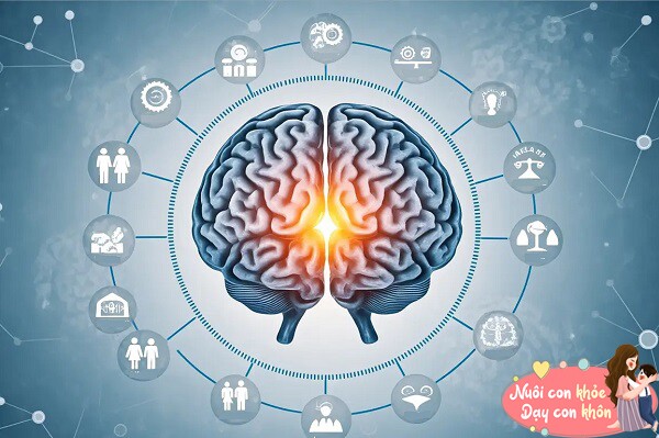 Trẻ thường xuyên nghe lời quát mắng, não bộ sẽ trải qua 5 cơn bão thay đổi, trí thông minh bị "đánh cắp" - 7