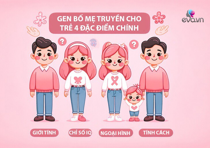 Bố hay mẹ quyết định chỉ số IQ, ngoại hình, chiều cao của trẻ? Câu trả lời chính xác từ chuyên gia - 3