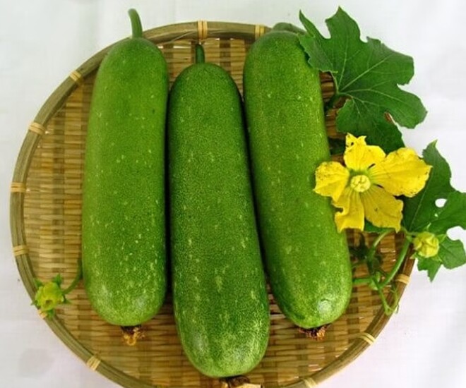 Loại quả leo bờ rào là &#34;kho dinh dưỡng thiên nhiên&#34;, đem xào hoặc nấu canh thành đặc sản thanh mát mùa hè, tốt cho bà bầu - 1