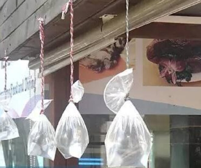 Cứ đến hè là nhiều gia đình lại treo túi nước ở trước cửa nhà, lý do không phải ai cũng biết? - 1