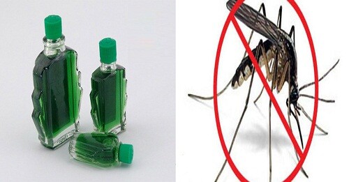 Người thông minh thường nhỏ vài giọt dầu gió vào nước lau nhà, biết lý do tôi liền học theo - 3