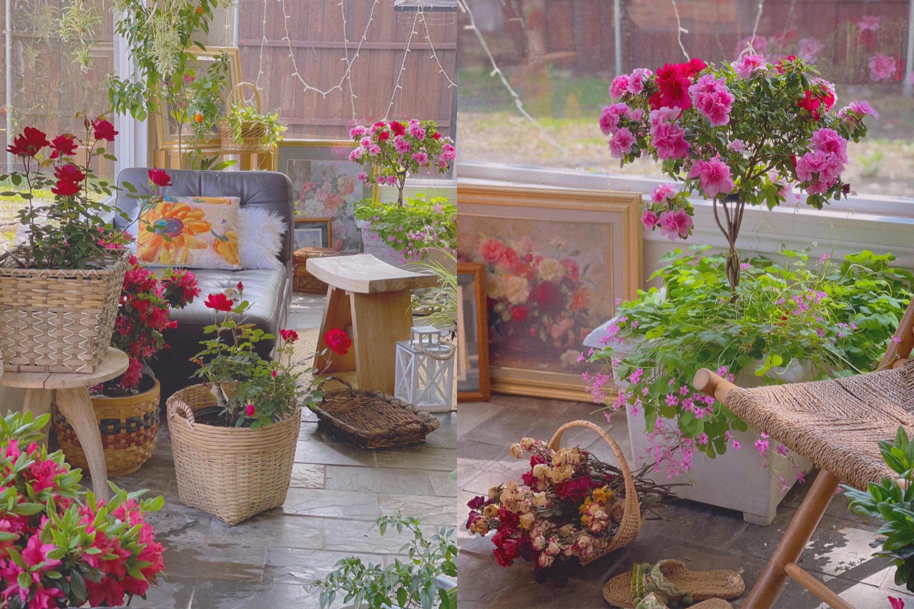 Mẹ Việt sống ở Mỹ xây căn nhà kính phủ đầy sắc hoa, phong cách vintage chữa lành đẹp đến nao lòng - 4