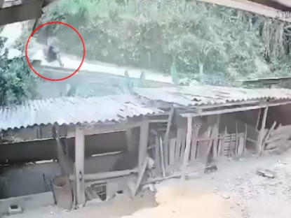 Giao thông - Clip: Phóng xe xuống dốc mất lái, cô gái bay thẳng vào chuồng gia súc