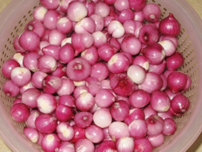 Thông tin doanh nghiệp - Ai bảo bị trào ngược dạ dày là phải chịu đựng suốt đời: Hàng ngàn bệnh nhân đón tin vui nhờ mẹo nhỏ khó tin này