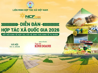 Thông tin doanh nghiệp - Mở ra không gian liên kết mới cho kinh tế hợp tác trong hệ sinh thái hiện đại