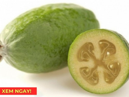 Thông tin doanh nghiệp - “Siêu trái cây” chứa hàm lượng vitamin C cao vượt trội, rất tốt cho hệ hô hấp: Người Việt ăn nhiều mà ít biết!
