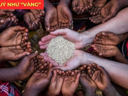 Thông tin doanh nghiệp - Loại hạt bé xíu lại là “cứu tinh” cho người tiểu đêm, ở Việt Nam rẻ bèo nhưng nước ngoài “quý như vàng”!