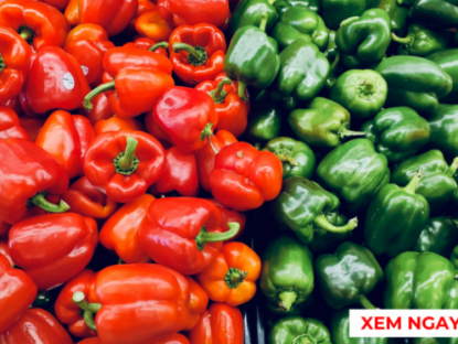 Thông tin doanh nghiệp - Ớt chuông xanh hay đỏ tốt hơn cho hô hấp? Nhiều người bị đàm ho khó thở chọn sai mà không biết!